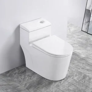 BỒN CẦU 1 KHỐI TRẮNG SD-C017 Q-SADO