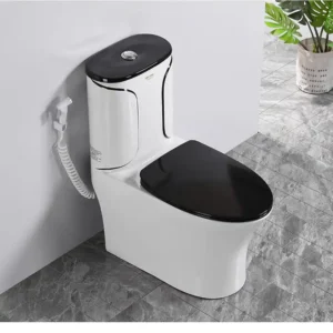 BỒN CẦU 1 KHỐI TRẮNG SD-C011 Q-SADO