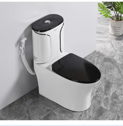 BỒN CẦU 1 KHỐI TRẮNG SD-C011 Q-SADO