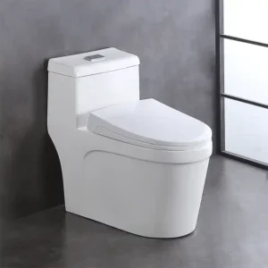 BỒN CẦU 1 KHỐI TRẮNG SD-C018 Q-SADO