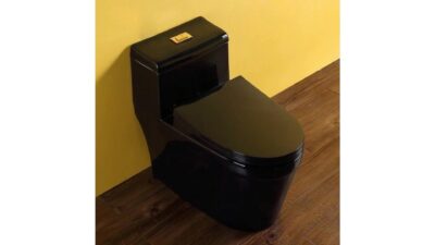 BỒN CẦU 1 KHỐI SD-C010