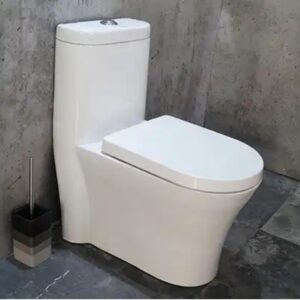 BỒN CẦU 1 KHỐI TRẮNG SD-C035