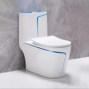 BỒN CẦU 1 KHỐI TRẮNG VIỀN CHỈ XANH DƯƠNG SD-C032
