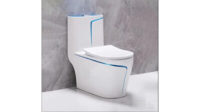 BỒN CẦU 1 KHỐI TRẮNG VIỀN CHỈ XANH DƯƠNG SD-C032