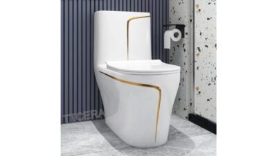BỒN CẦU 1 KHỐI TRẮNG VIỀN CHỈ VÀNG SD-C031