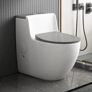 Bồn cầu 1 khối cao cấp phong cách châu Âu Trắng SD-C2221