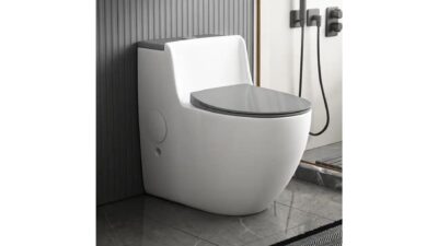 Bồn cầu 1 khối cao cấp phong cách châu Âu Trắng SD-C2221